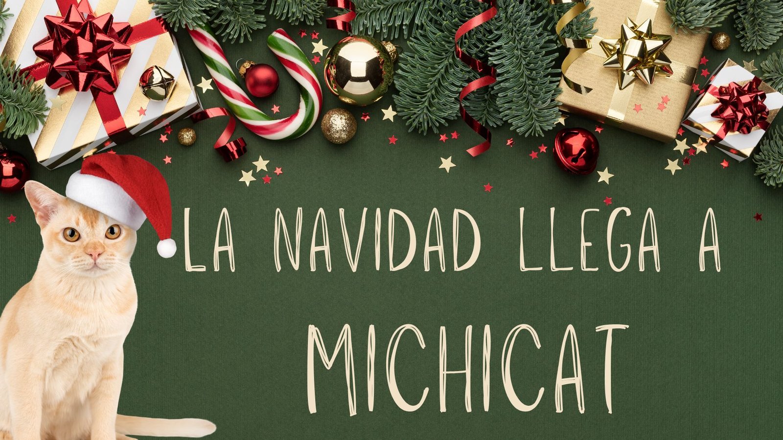 Navidad en MichiCat 