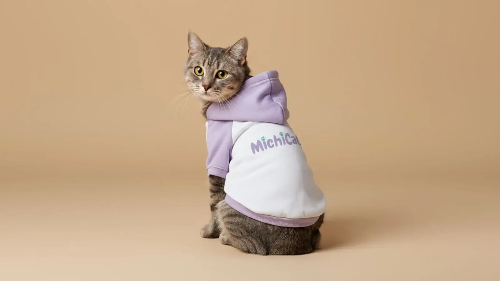 Gato con sudadera lila y blanca MichiCat posando sobre fondo beige, símbolo de la tienda online de productos naturales y sostenibles para gatos.