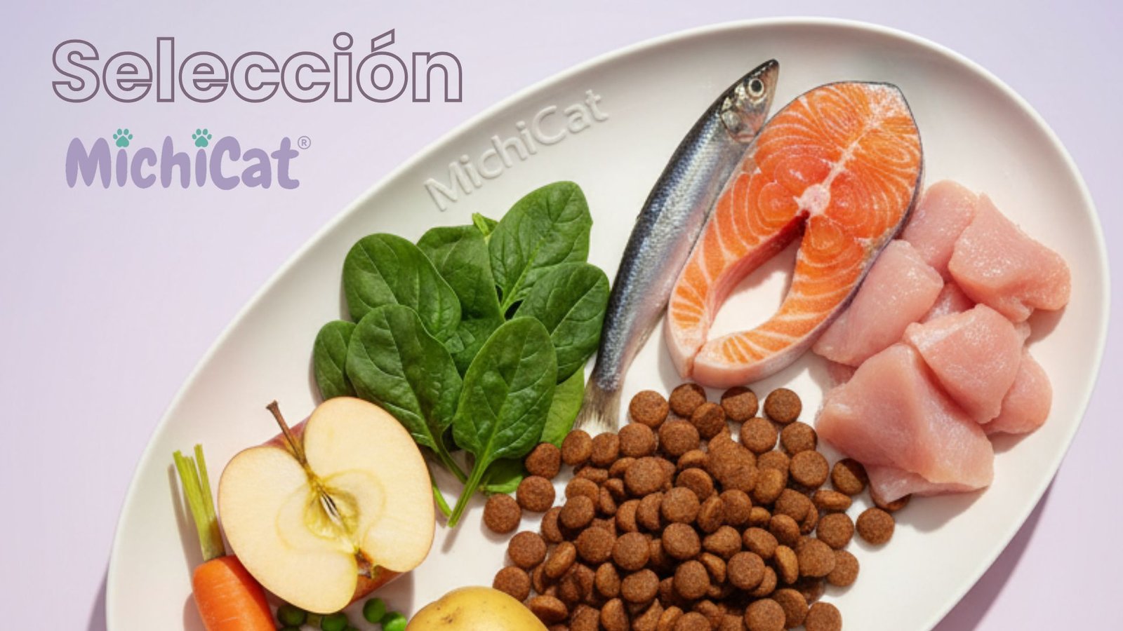Plato con ingredientes naturales de la Selección MichiCat: salmón, pollo, pescado azul, espinacas, manzana, guisantes y pienso natural para gatos.