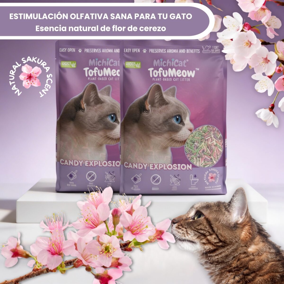 MichiCat Arena de Tofu para Gatos TofuMeow, 12 kg (4x3kg) Arena Aglomerante para Gatos Vegetal Biodegradable, Libre de Polvo, Control de Olores Avanzado, Desechable en WC, Pack Ahorro Larga Duración - Imagen 5