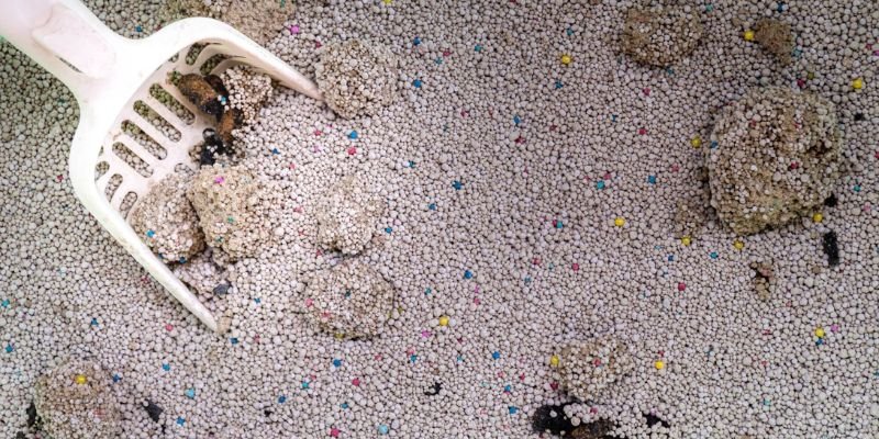 Vista cenital de arena mineral aglomerante con múltiples grumos sucios y paleta blanca